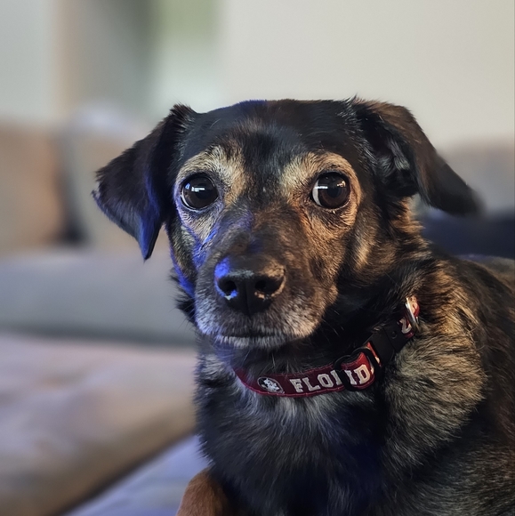 Meet Kate - Picture 1 of 1